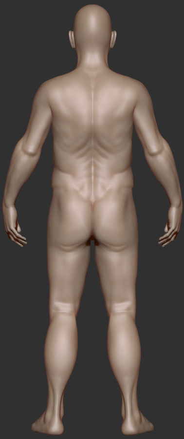 oldmanstudy_back.jpg