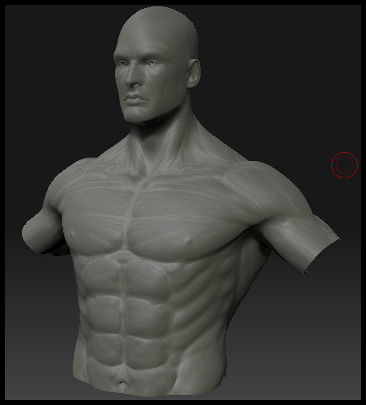body_front_WIP.jpg