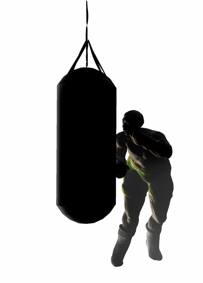BOXER GYM 22.jpg