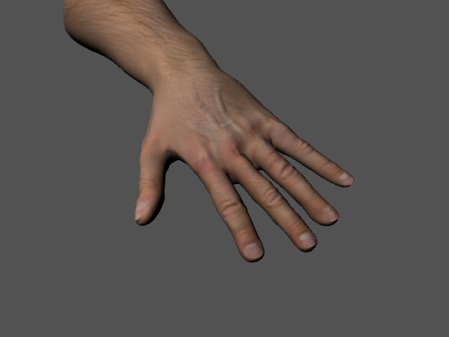 HandWithBump.jpg