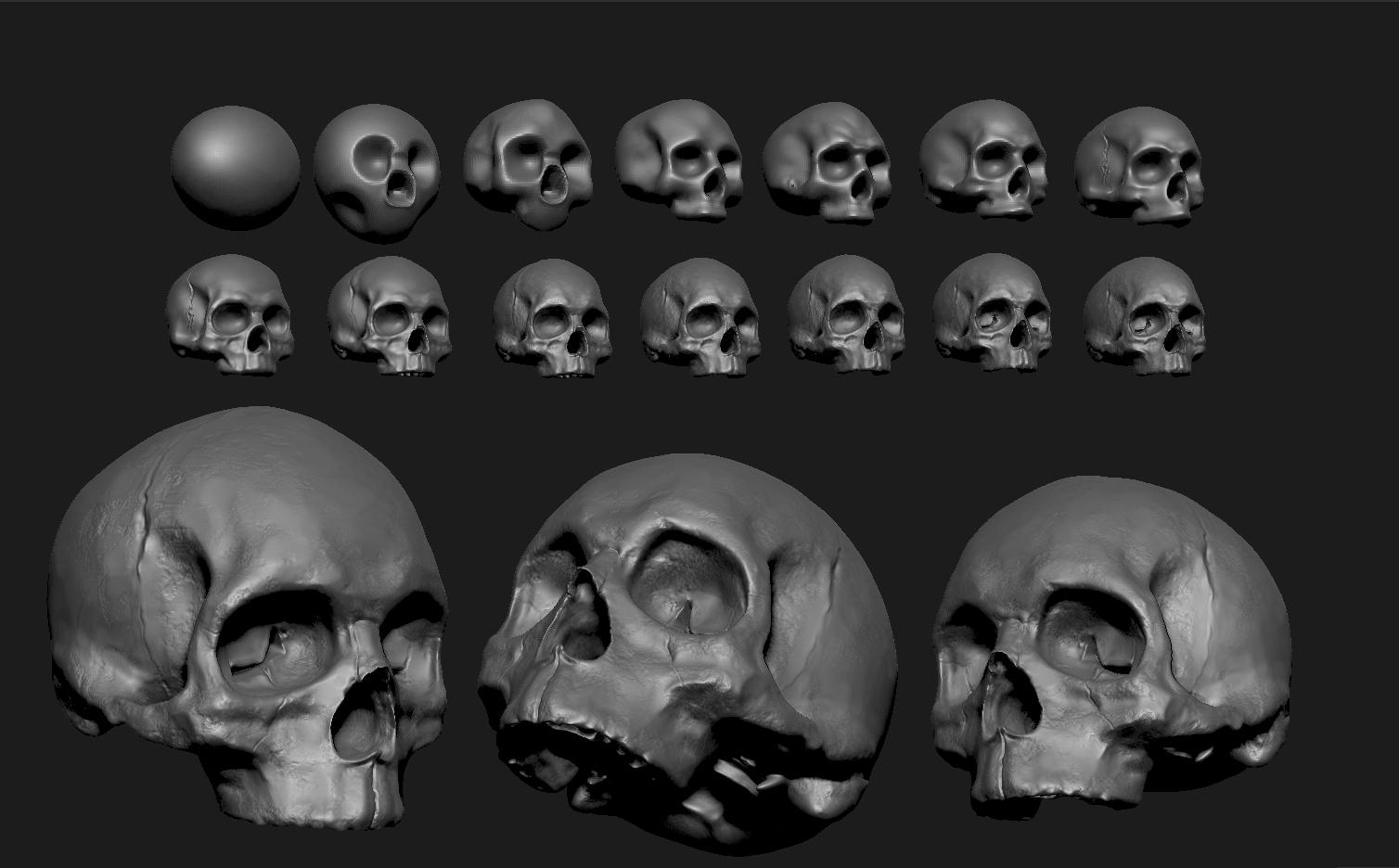 Skull.jpg