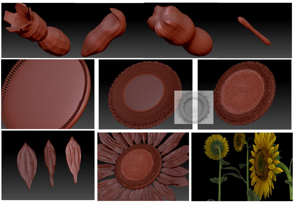 tutorial sunflower.jpg