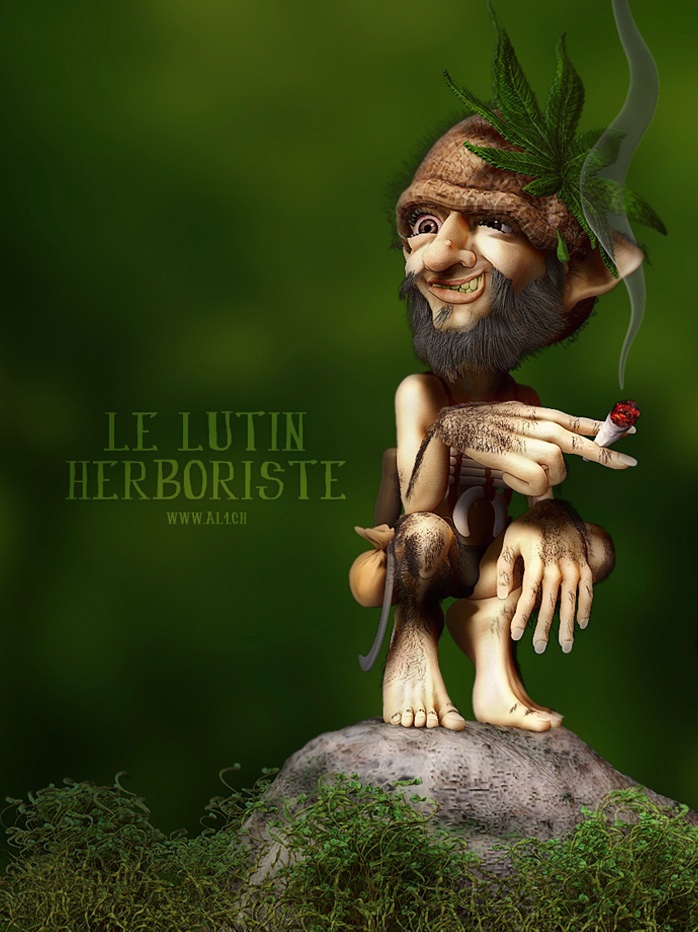 BPR lutin herboriste.jpg