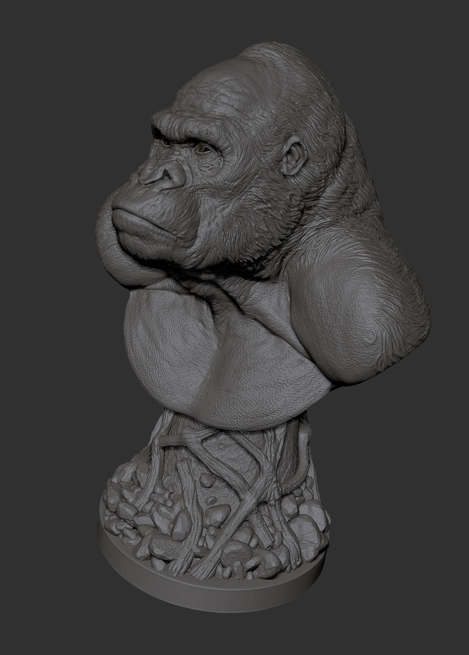 ape 006.jpg