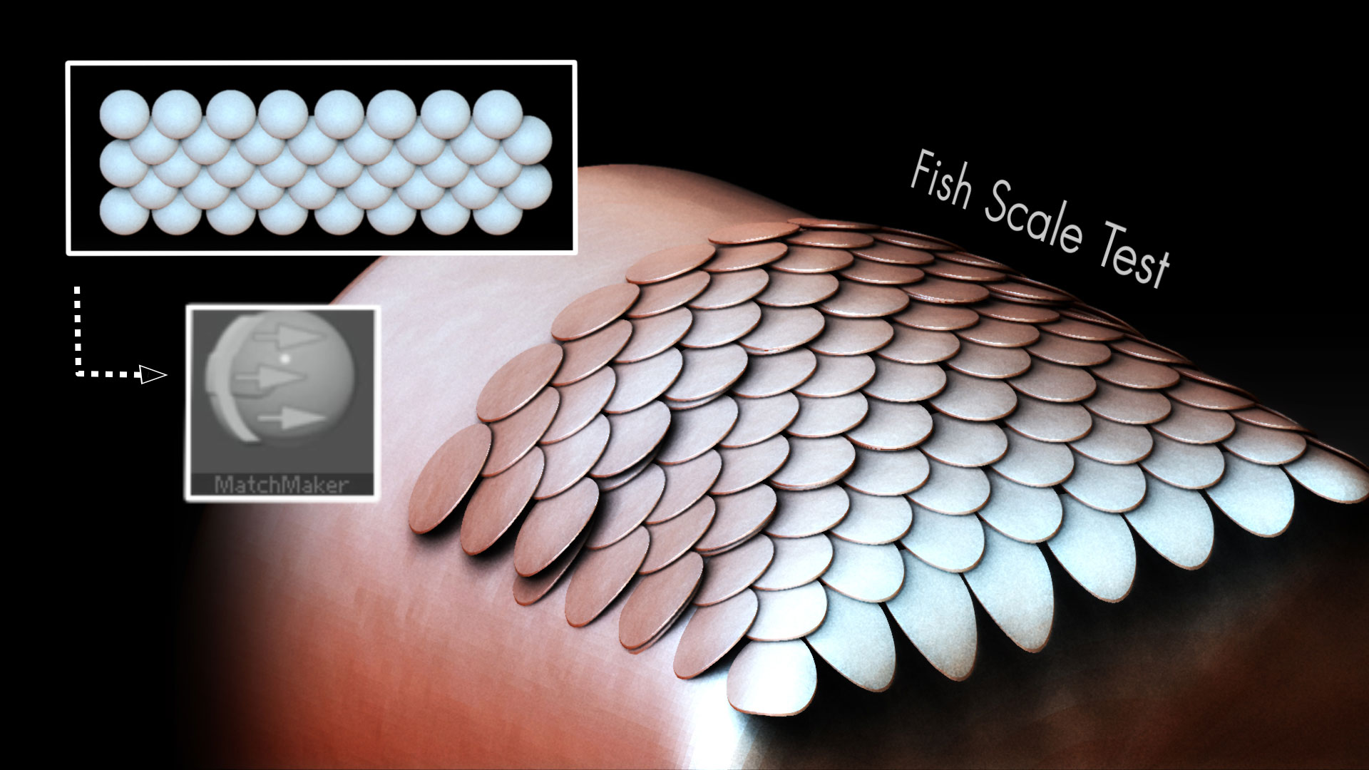 scales4-0000000-small.jpg