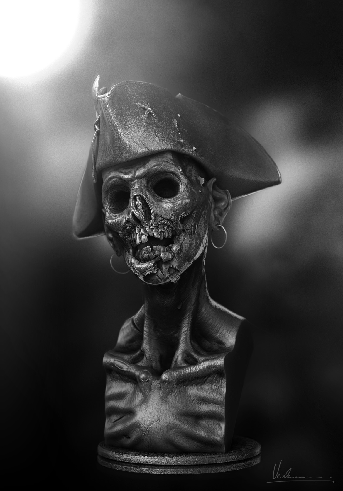 pirate comp.jpg