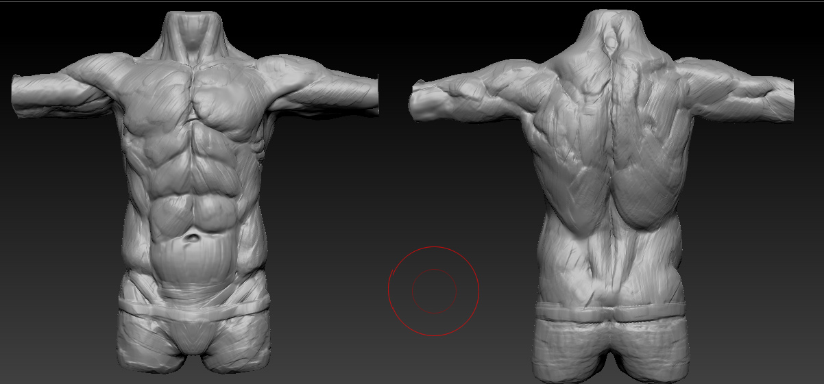 Torso_Week_2DEgree90.jpg