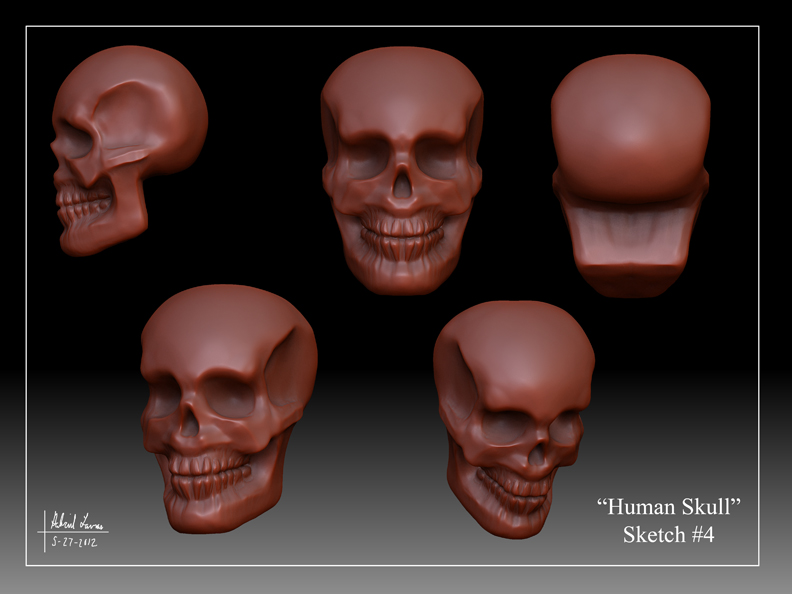 Human_Skull_Sketch_04.jpg