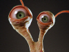 ZBC_THUMB2.jpg