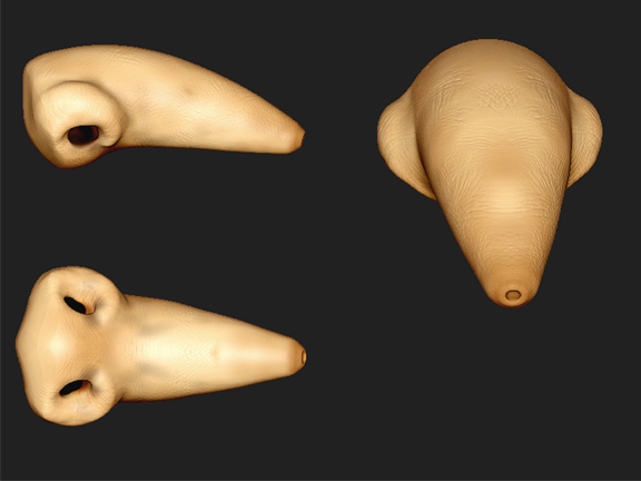 zbrushnose.jpg