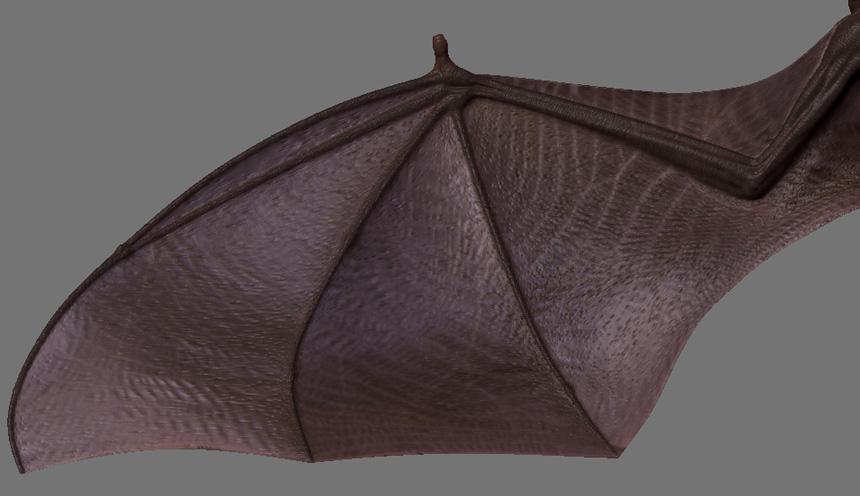 Wing_Tests.jpg