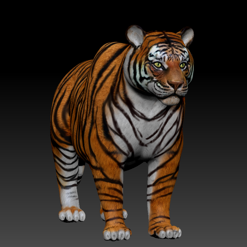 tigerwip_12.jpg