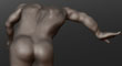 CLASSICAL TORSO 4.jpg