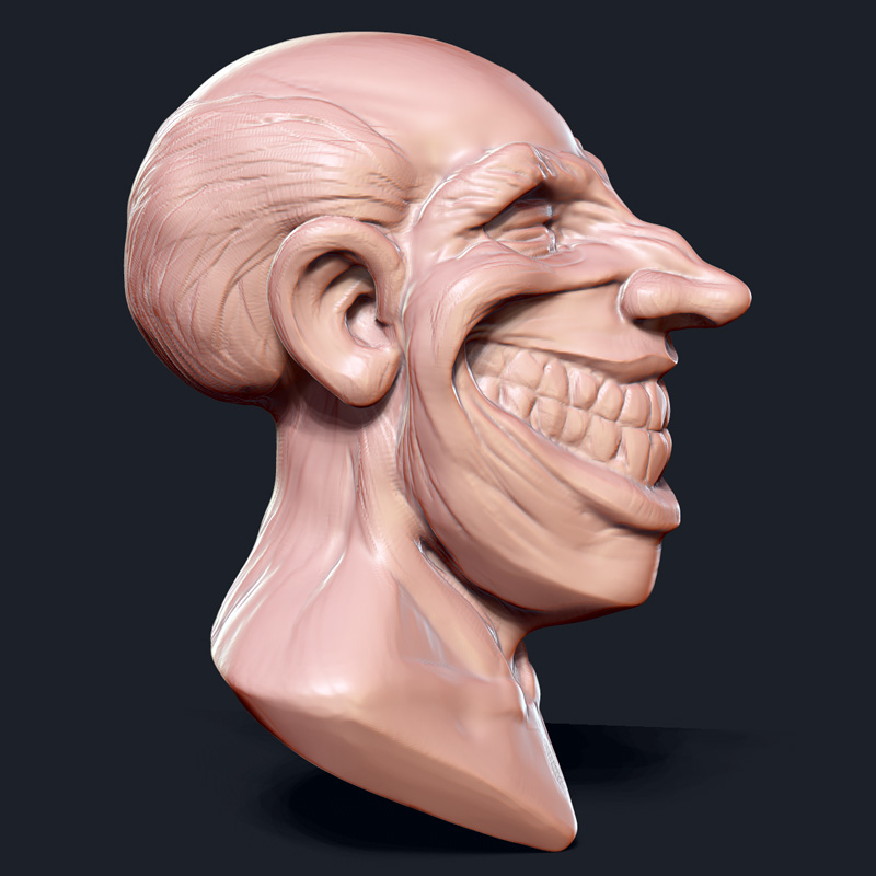 squintyGrin-side.jpg