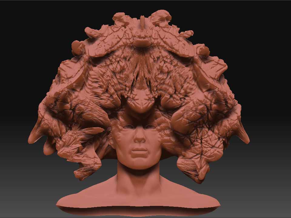 head.jpg