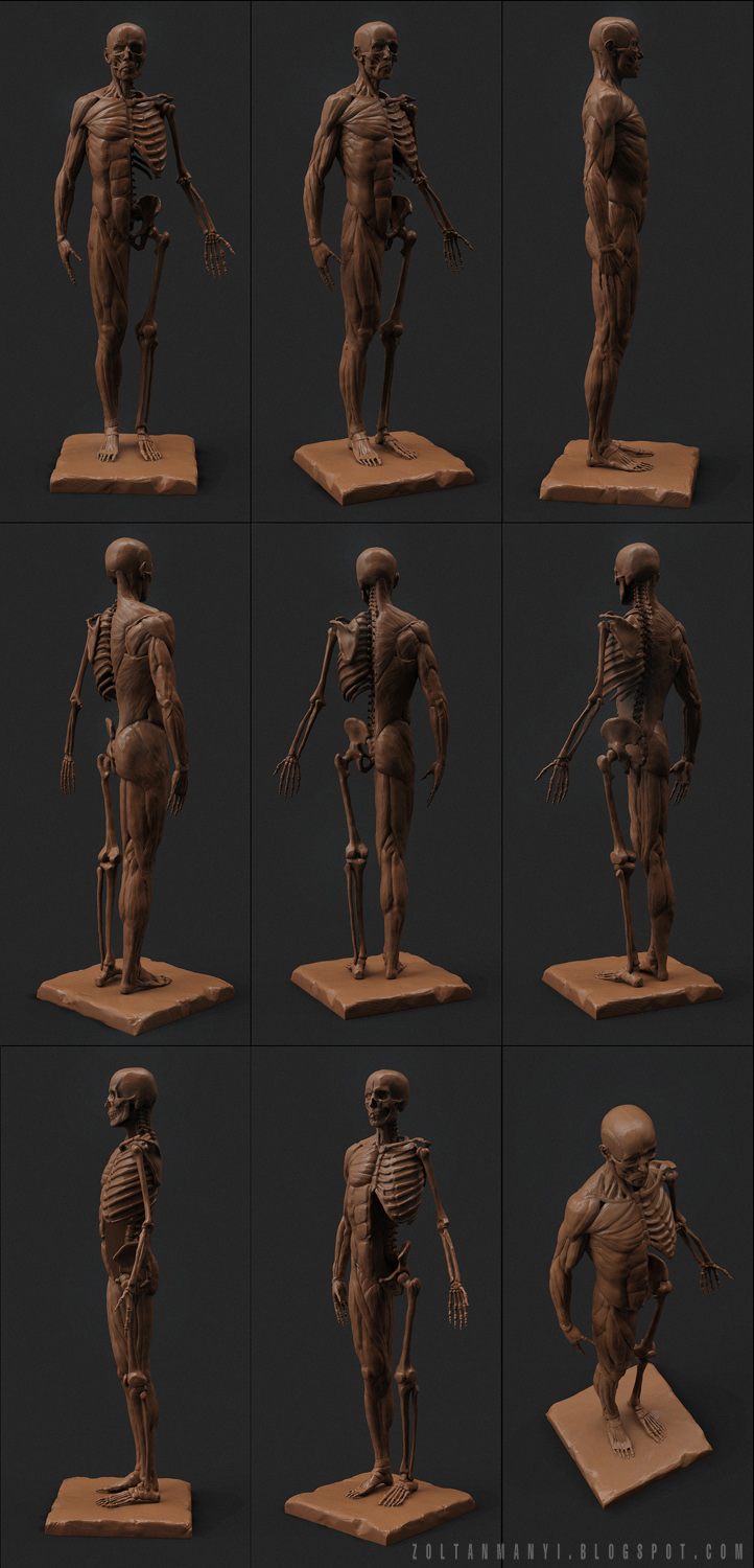Anatomy_FULL_1_5k_s.jpg