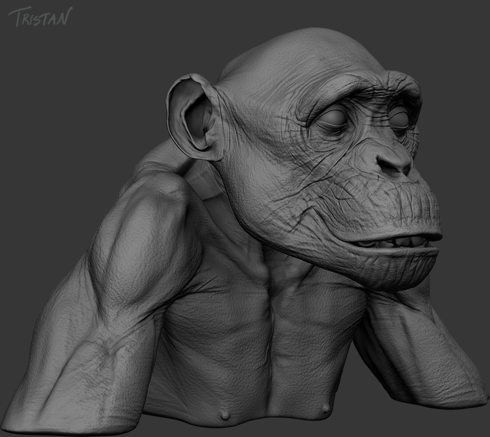 Monkey_WIP_01.jpg