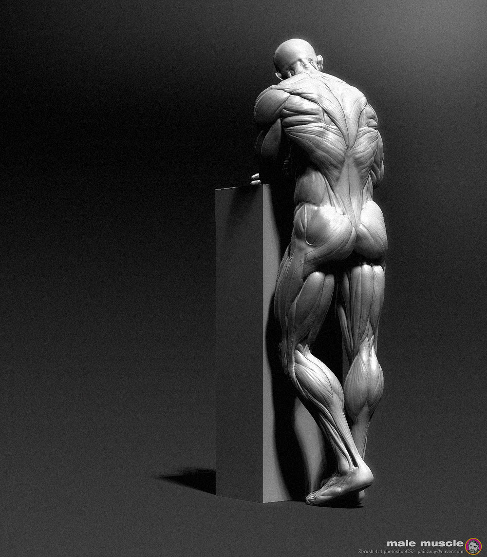 muscle_pose2-painzang11.jpg