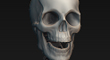 posethumb.jpg