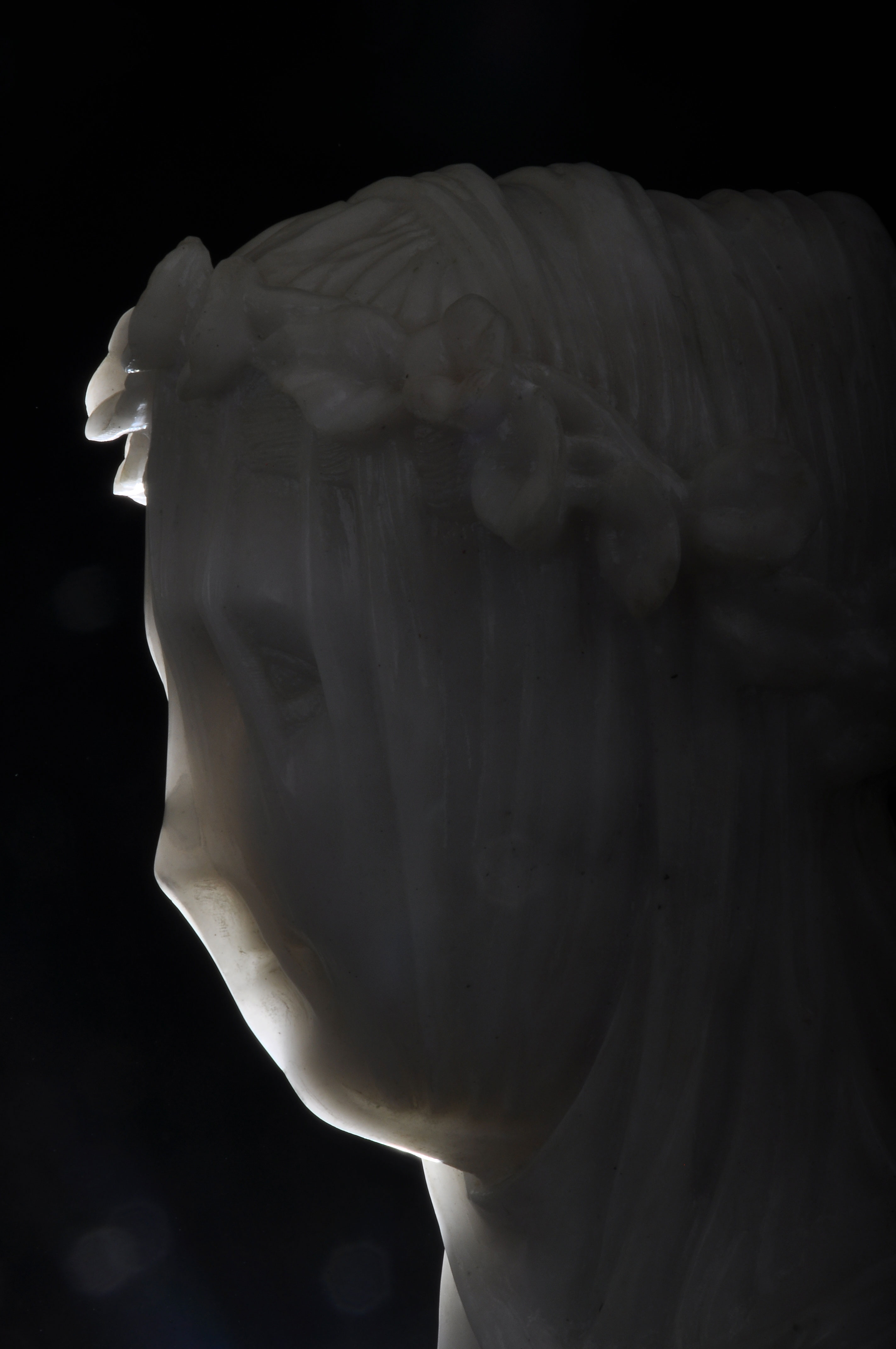DSC_0509.jpg