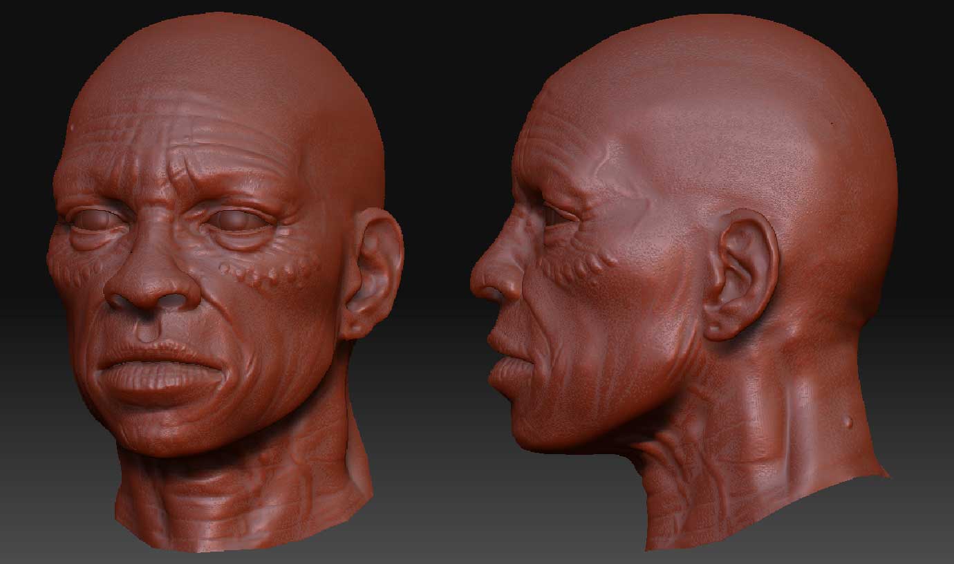 Zareb_head.jpg