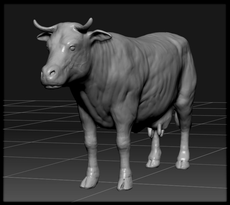 cow17.jpg