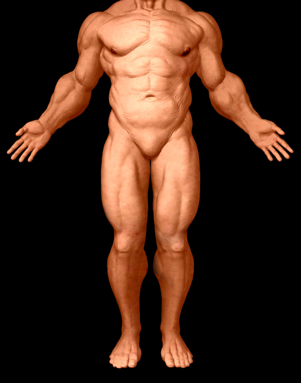 muscleguyweb_1.jpg
