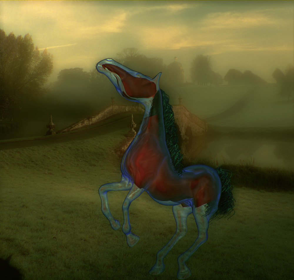 Horse-fog.jpg