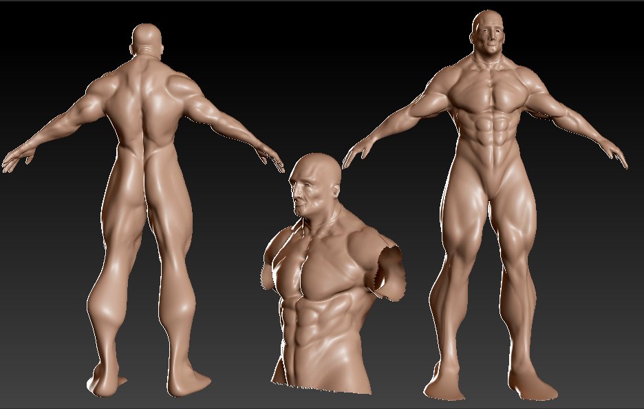 newbody.JPEG