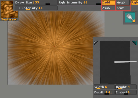 hair.jpg