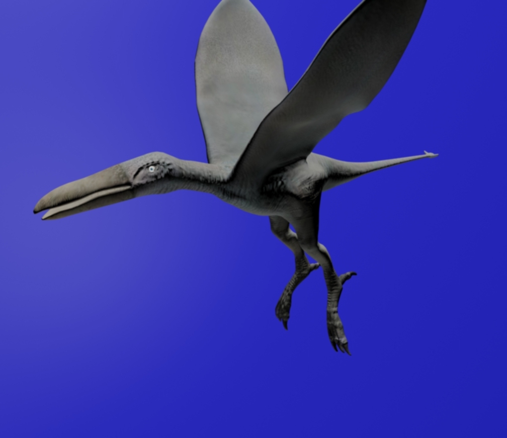 Flying Beast wip 006.jpg
