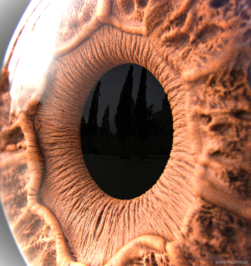 Pupil.jpg