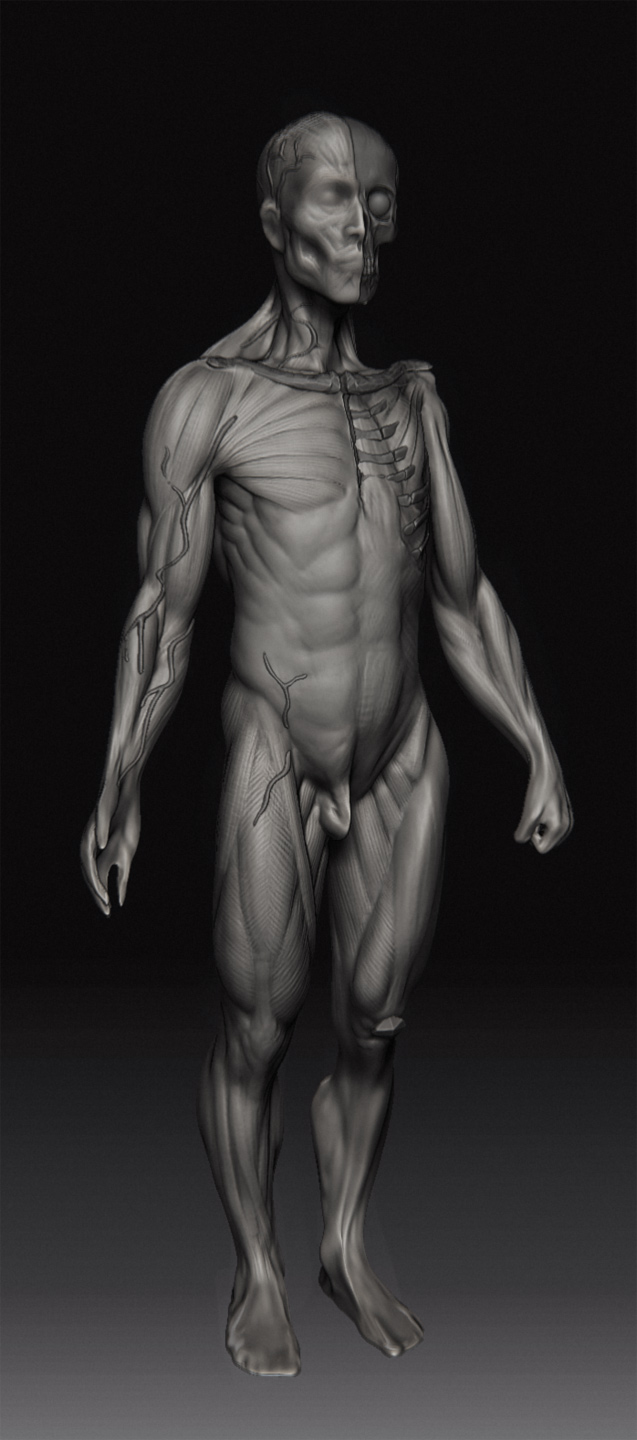 ZBrush-Document3.jpg