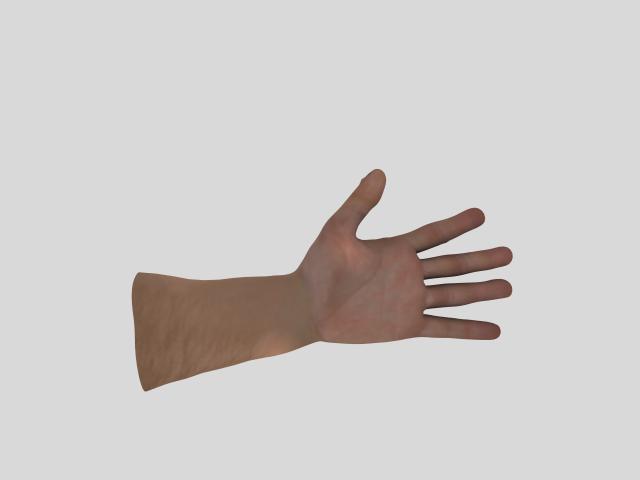 hand_Bottom.jpg