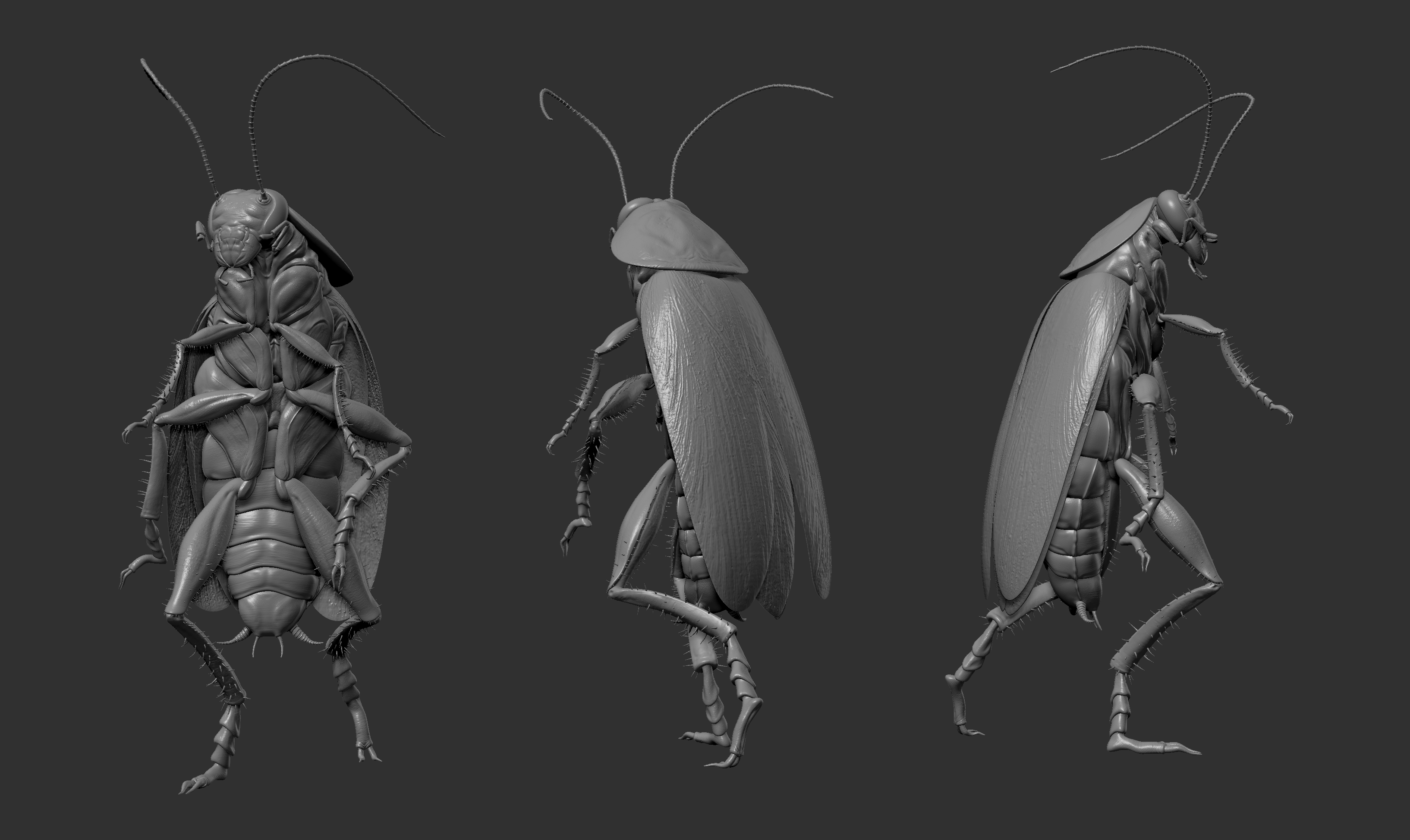 Cockroach-sculpture-01.jpg