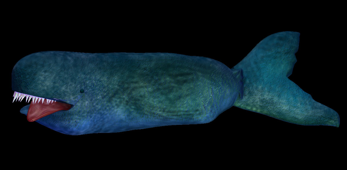 Whale3.jpg