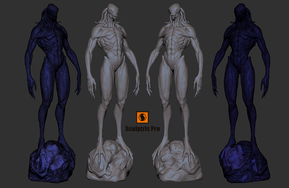 ZBrush 2018 Sculptris Pro_06.jpg