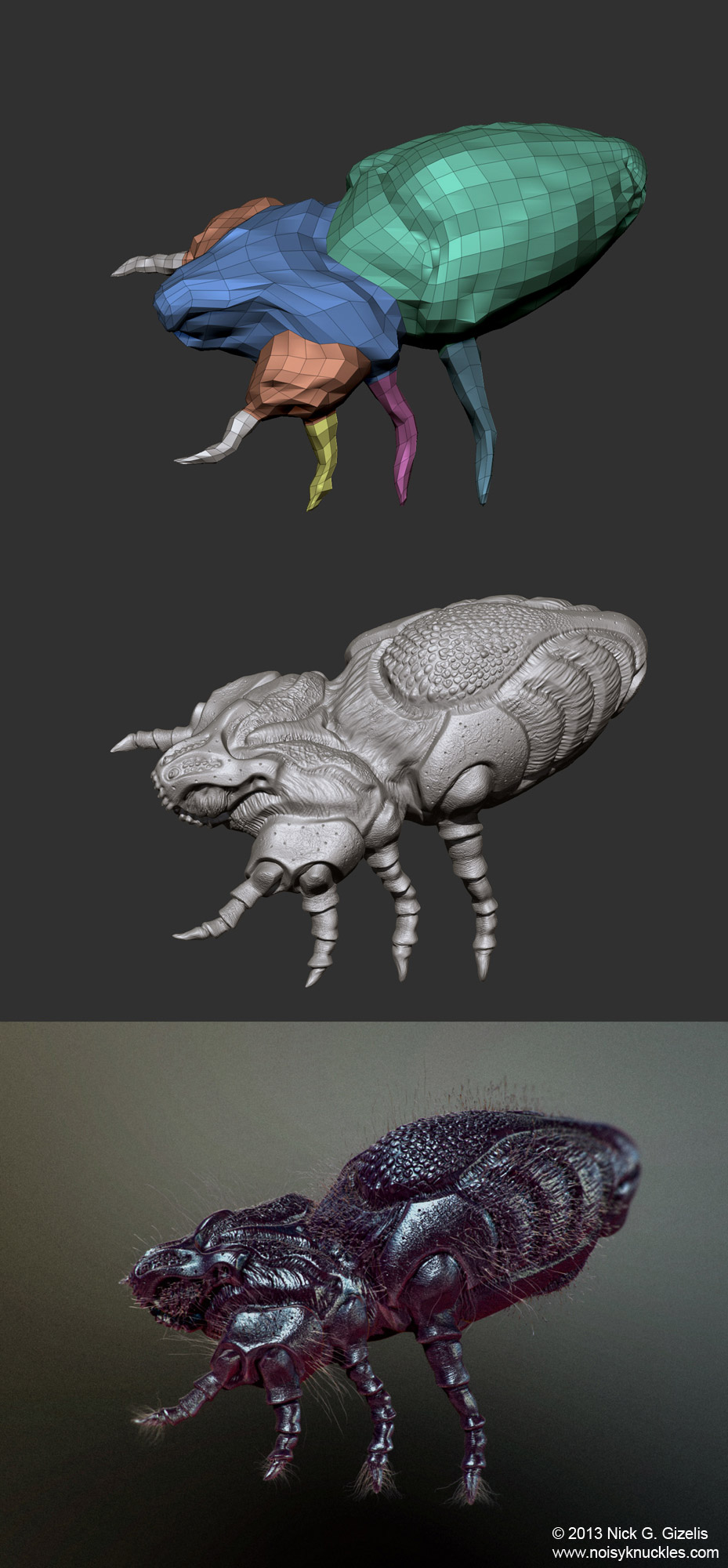 MICROLIFE_STAGES.jpg