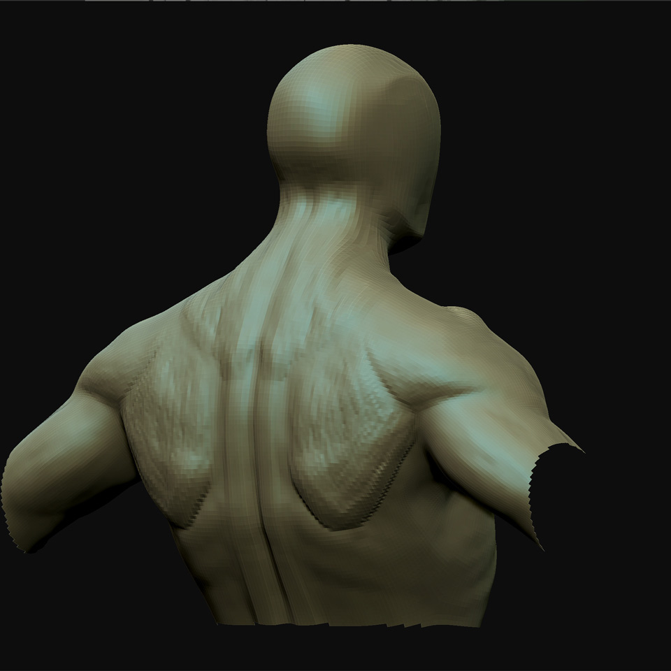 BaseModelBack.jpg