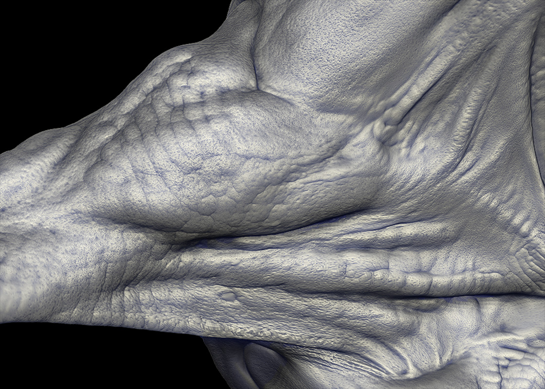 Shoulder_Model.jpg