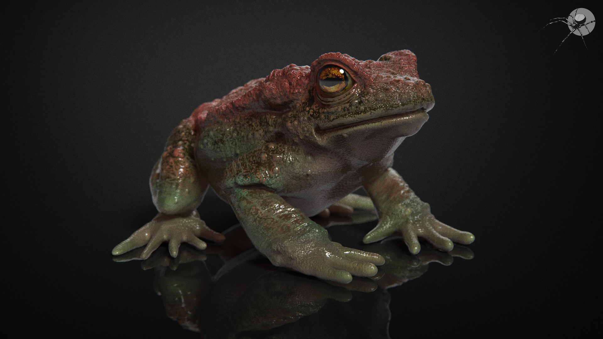 marcus-trolldenier-marcustrolldenier-tox-study-texturing-01.jpg