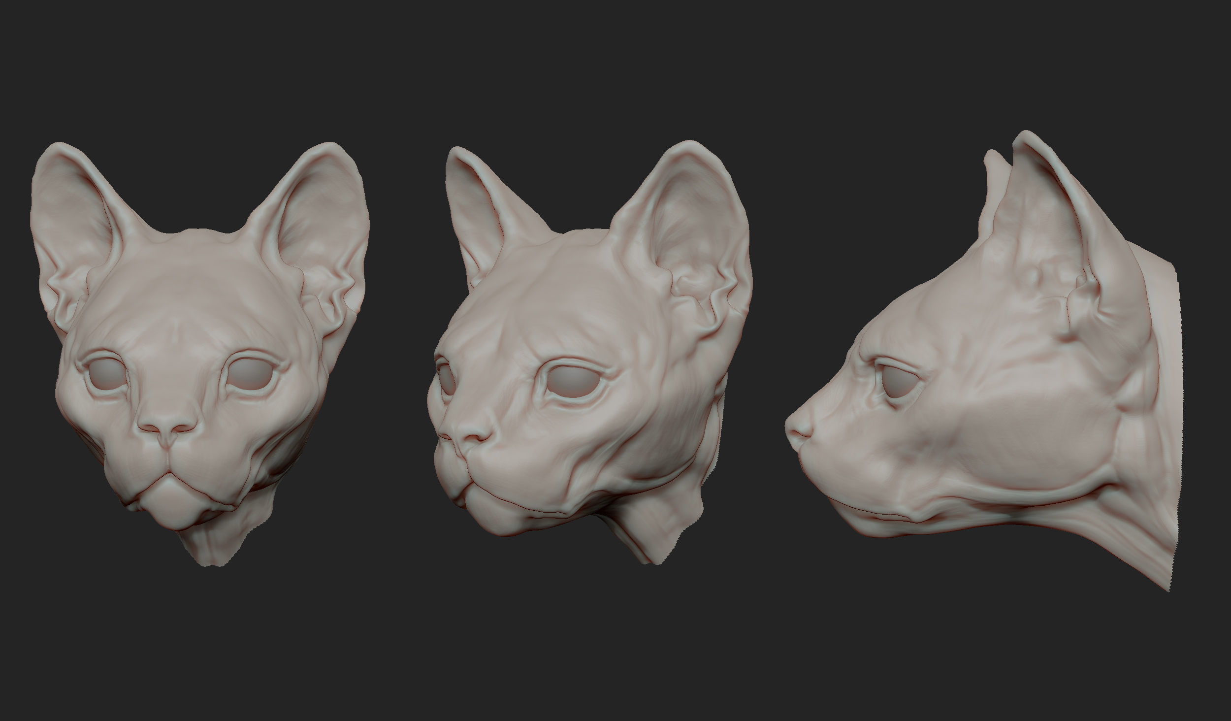 MarcusTrolldenier_SculptingAnatomy_week4_domestic_cat_01.jpg