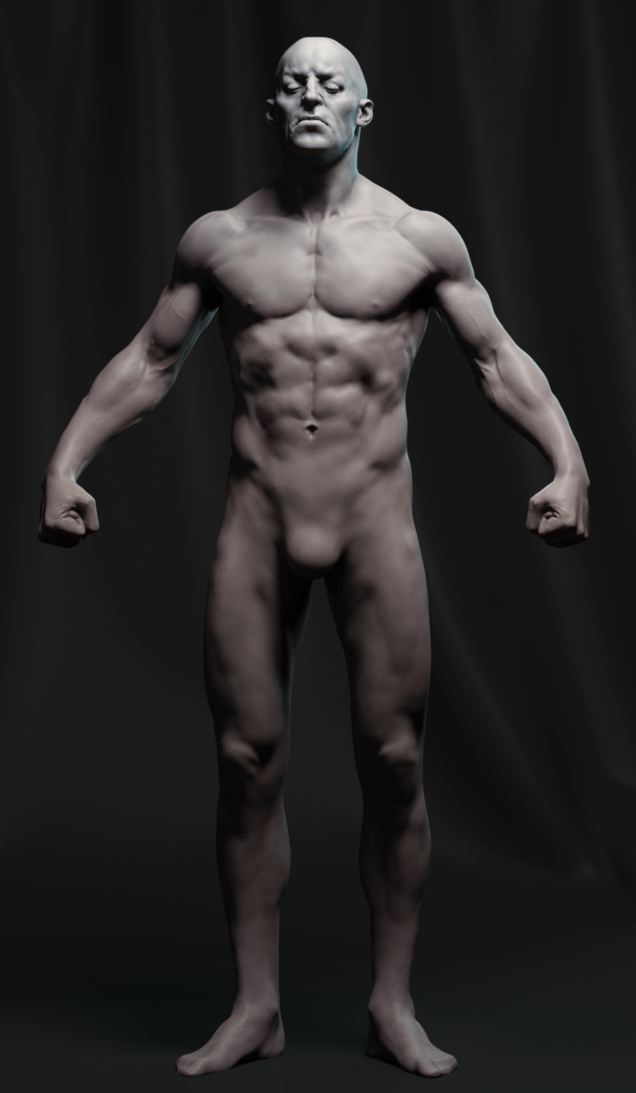 male_anatomy