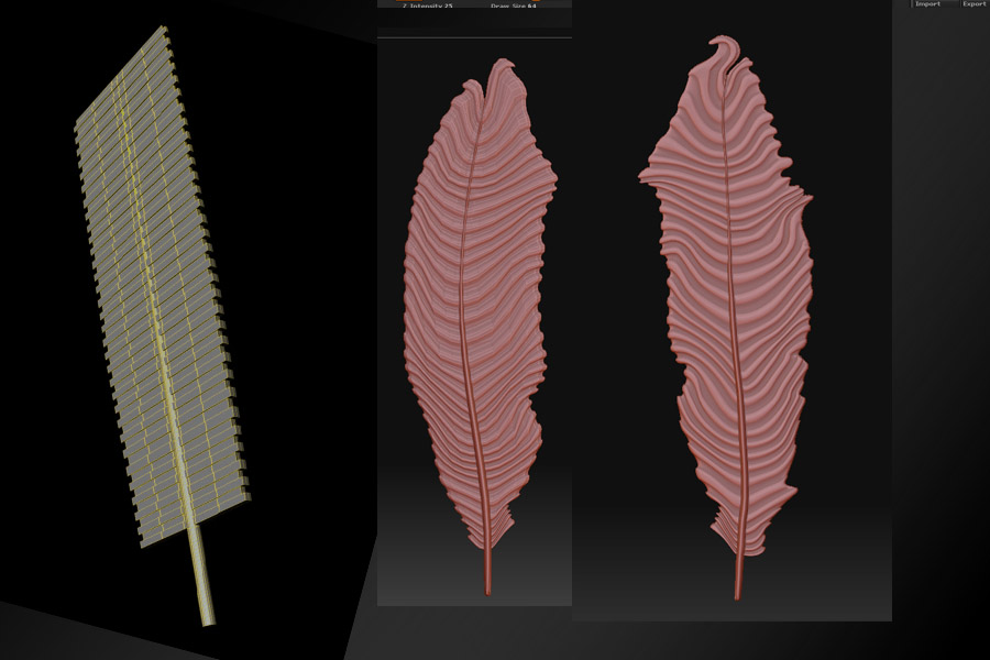 feather-joep.jpg