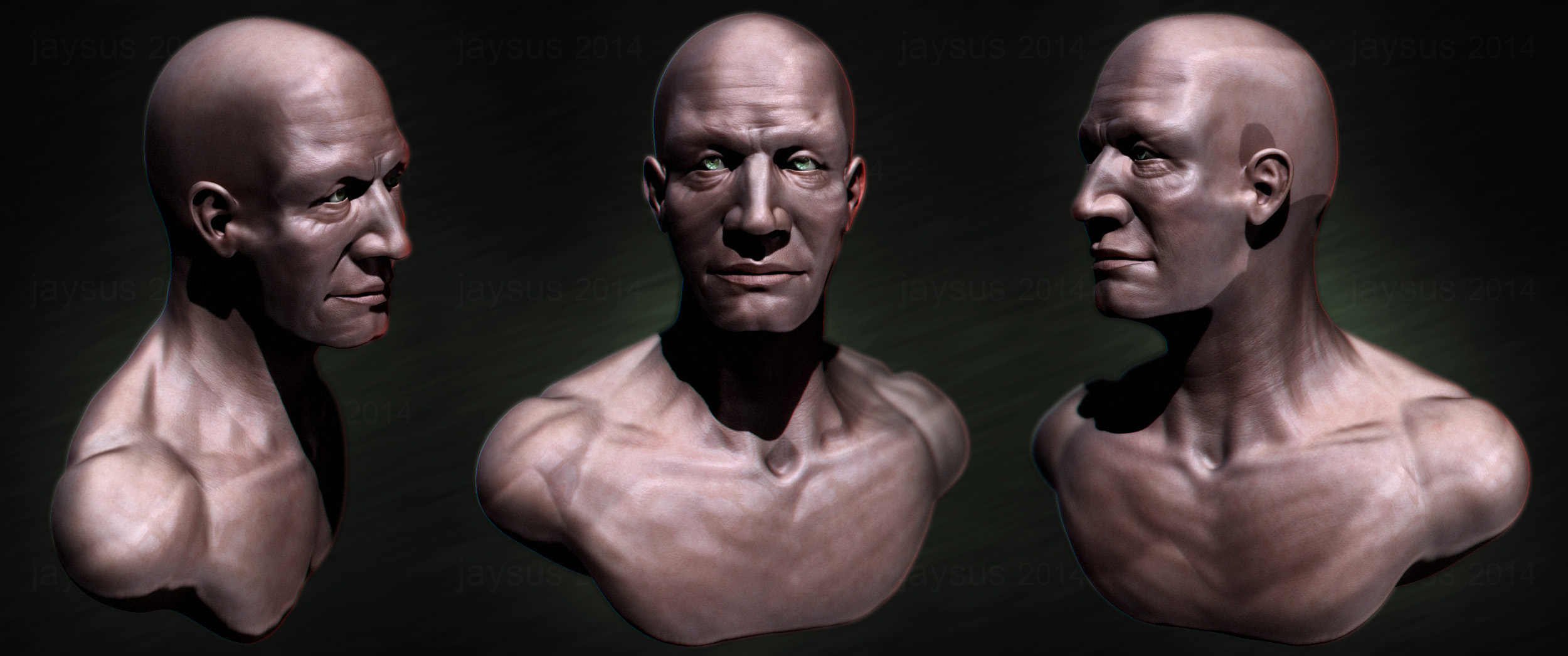 Bust_N04_cc.jpg