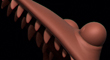 t.jpg