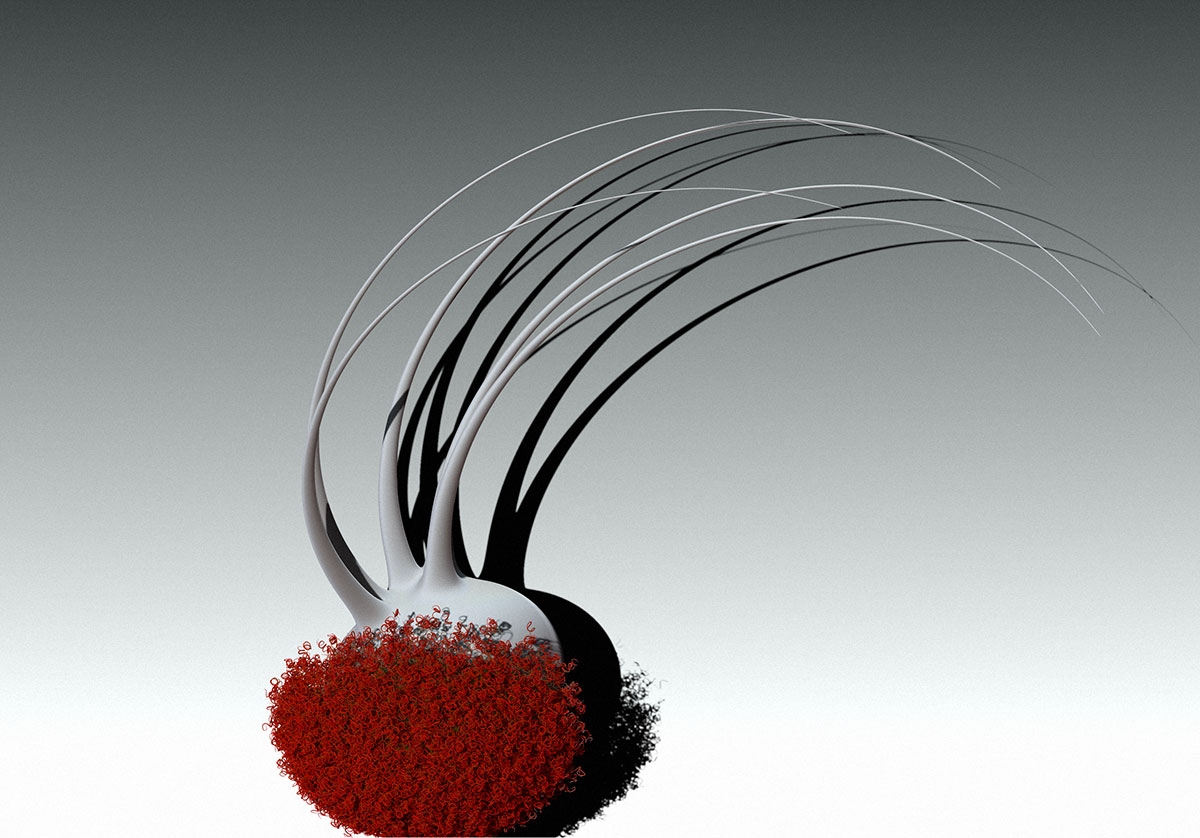 hairAndSprouts.jpg