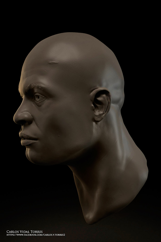 CarlosVidal_Anderson07_c.jpg