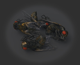 fly pile.jpg