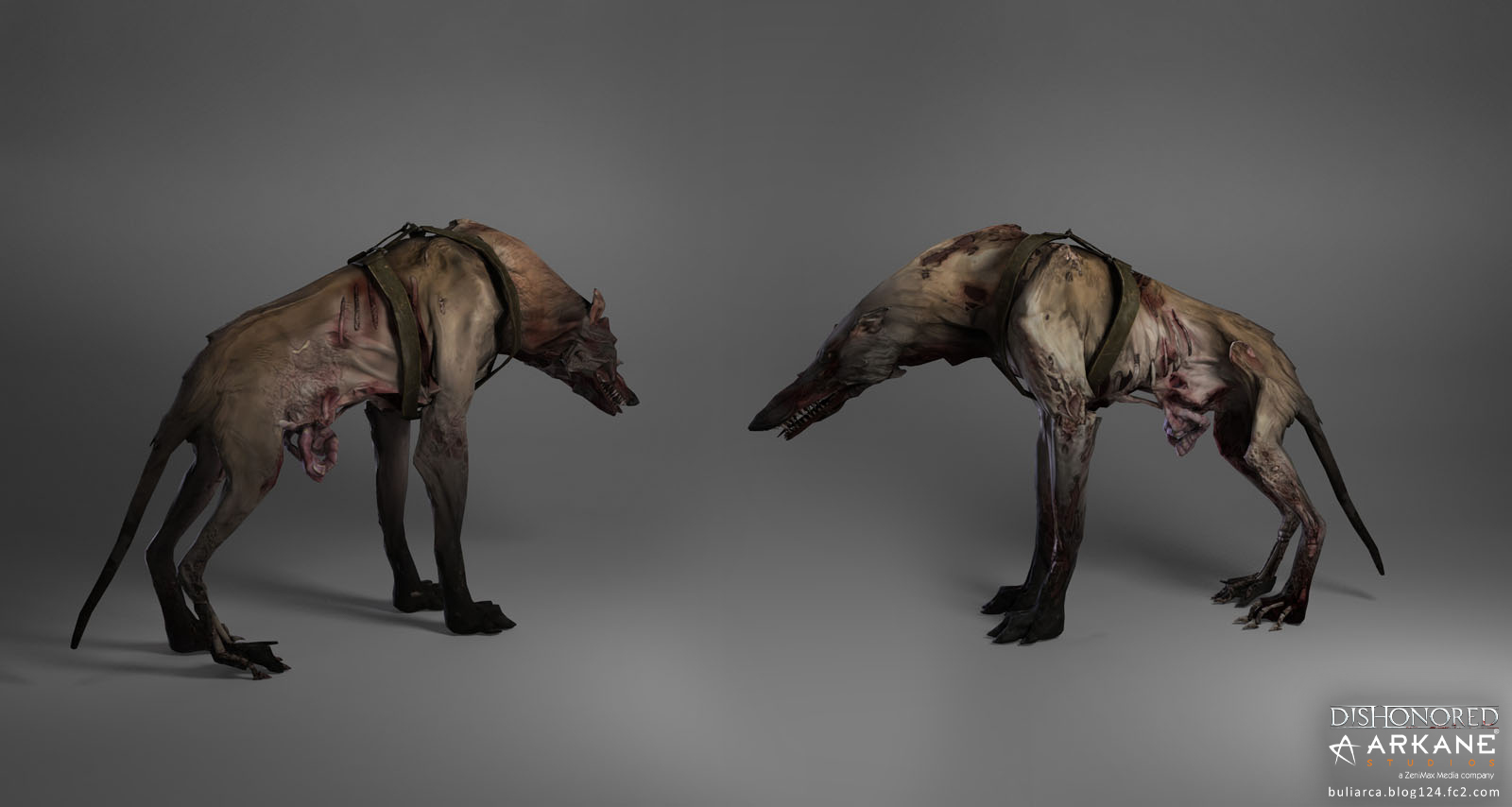 deadDog.jpg